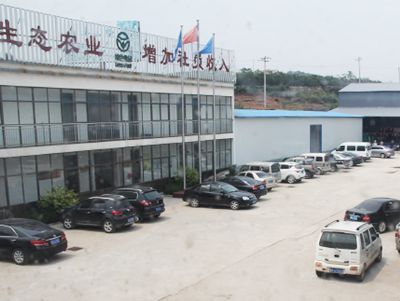 相亮面貌