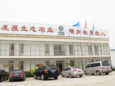 相亮面貌