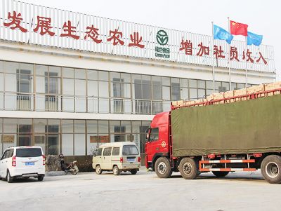 相亮面貌