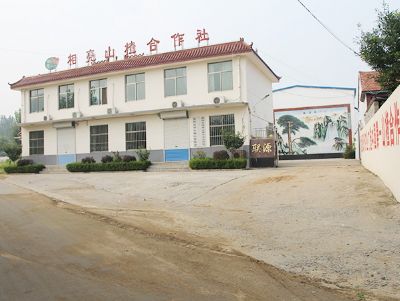 相亮面貌
