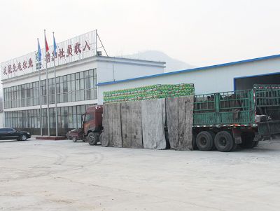 相亮面貌