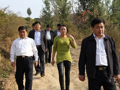 临朐县副县长孙琪军（左一）到寺头山楂基地考察参观