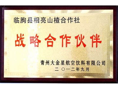 战略合作伙伴