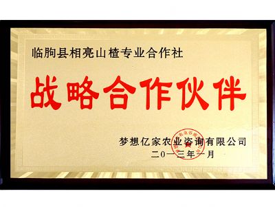 战略合作伙伴