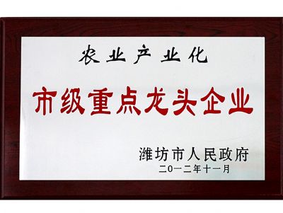 省级重点龙头企业