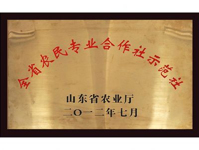 全省农民专业合作社示范社