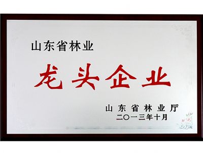 龙头企业