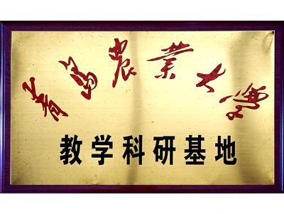 科学教研基地