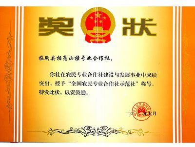 奖状